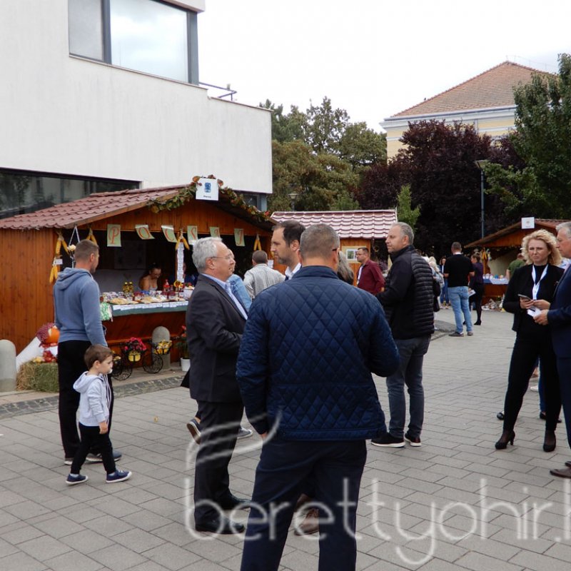 Helyi Értékek Startja 101